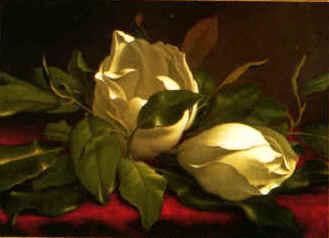 Martin Johnson Heade Magnolia hgh